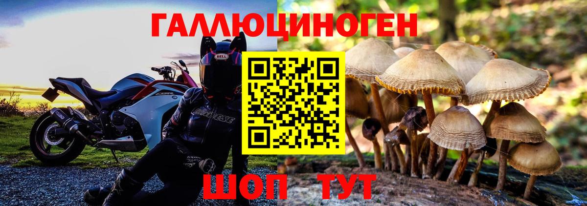 Галлюциногенные грибы MAGIC MUSHROOMS  где купить   Вход с VPN  Тайшет  Галлюциногенные грибы Magic Shrooms 
