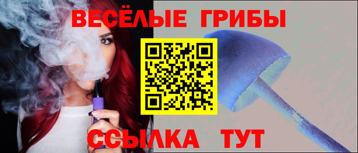 Галлюциногенные грибы MAGIC MUSHROOMS Тайшет